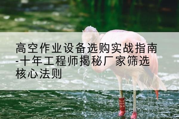 迎江剪叉式升降机厂家-高空作业设备选购实战指南-十年工程师揭秘厂家筛选核心法则