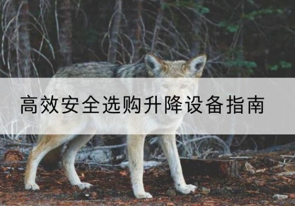 迎江升降货梯厂家推荐-*安全选购升降设备指南