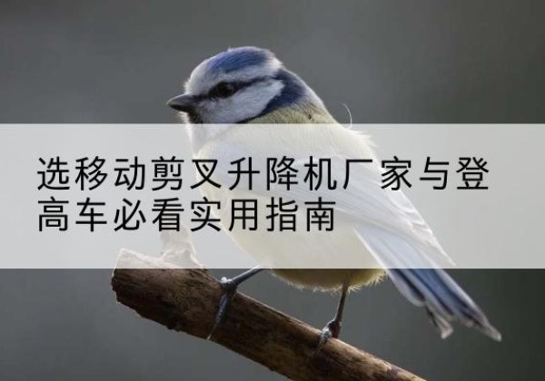 迎江电动升降机厂家-选移动剪叉升降机厂家与登高车必看实用指南