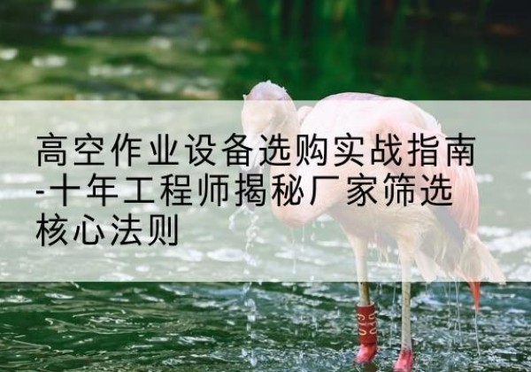 迎江剪叉式升降机厂家-高空作业设备选购实战指南-十年工程师揭秘厂家筛选核心法则